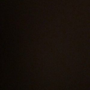 Meet your Posher, Dominique